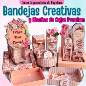Bandejas Creativas y Cajas Premium